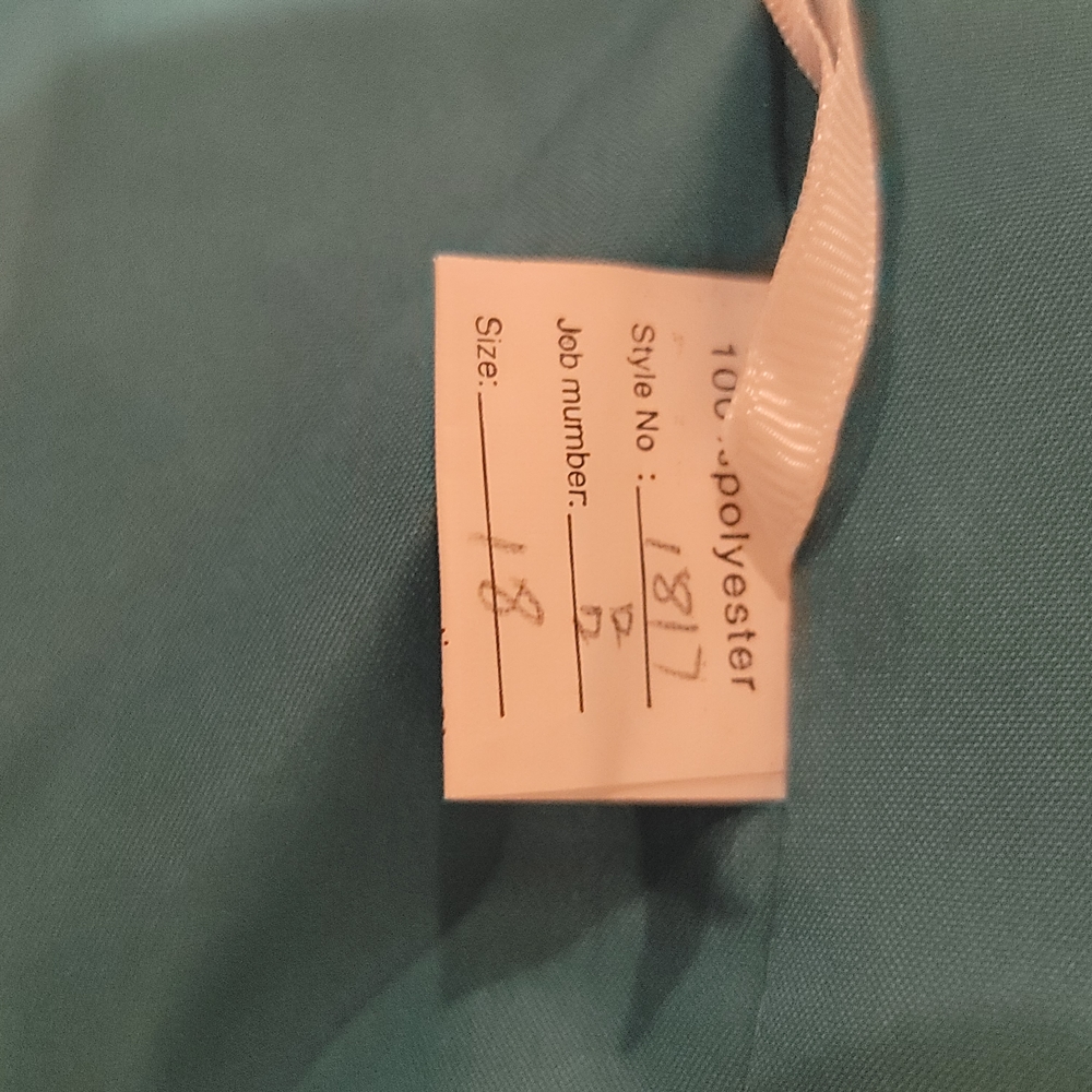 NWT MU XIANG CHEN Teal Chiffon Corseted Fit and Flare Short Dress Size 18 - Picture 9 of 16